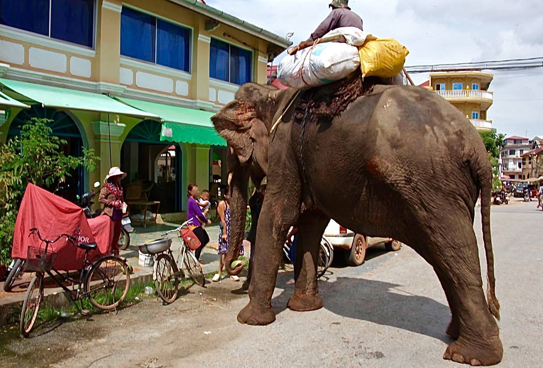 Revisiting Khmer’s “Last Street Elephant”